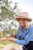 Portrait of happy woman pruning olive tree in farm