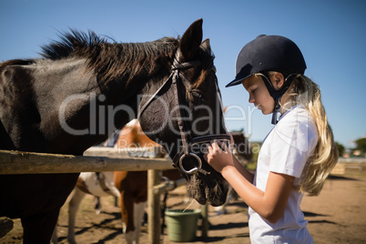 Girl caressing the brown horse in the ranch