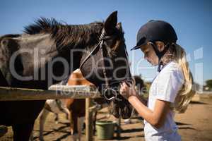Girl caressing the brown horse in the ranch