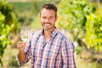 Portrait of handsome man holding wineglass