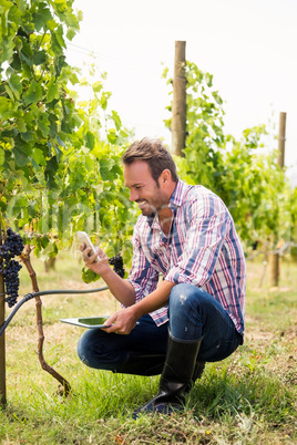 Smiling man using phone while holding tablet at vineyard