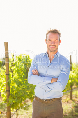 Portrait of confident man standing at vineyard