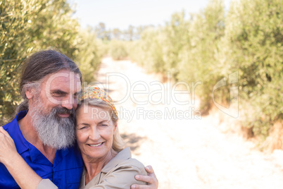 Romantic couple embracing each other in olive farm