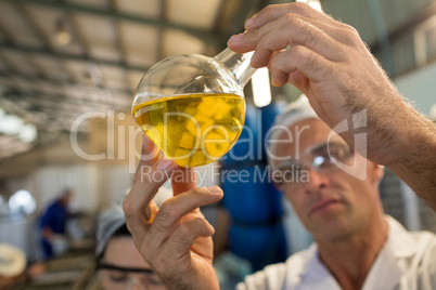 Technician examining olive oil