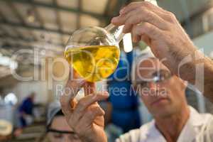 Technician examining olive oil