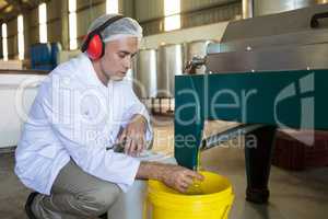 Technician examining olive oil produced from machine