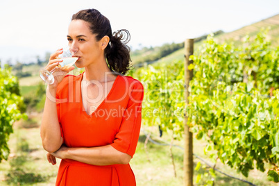 Young woman drinking wine