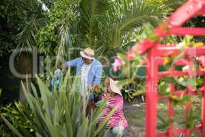 Couple gardening in yard