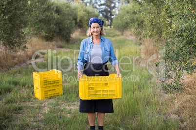 Portrait of happy woman holding harvested olives in crate