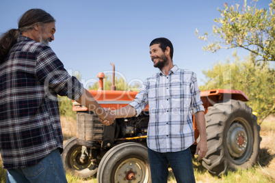 Happy friends shaking hands in farm