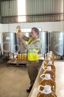 Male technician examining olive oil