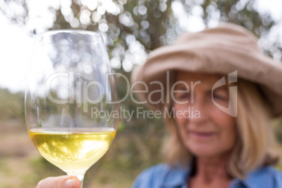 Woman looking at glass of wine in olives farm