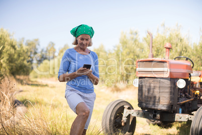 Woman using mobile phone in olive farm