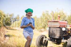 Woman using mobile phone in olive farm