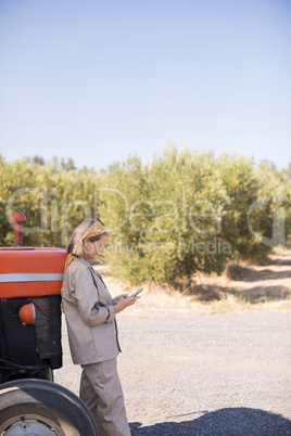 Woman using mobile phone in olive farm