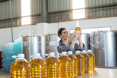 Female technician examining olive oil