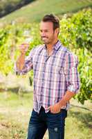 Smiling man holding wineglass at vineyard
