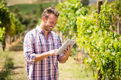 Man using digital tablet at vineyard