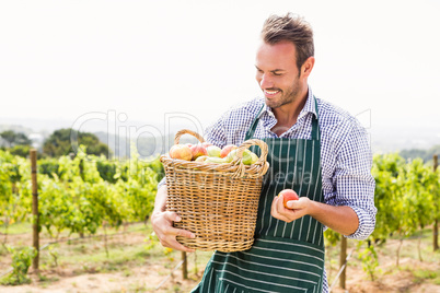 Smiling man with basket of apples at vineyard
