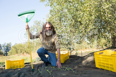 Portrait of happy farmer with rack collecting olives