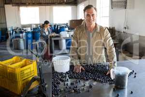 Worker checking a harvested olives in factory