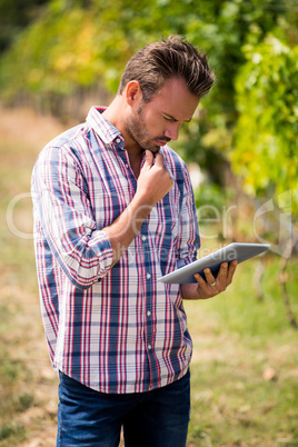 Young man using digital tablet at vineyard