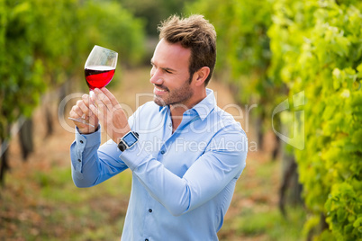 Smiling man holding wineglass