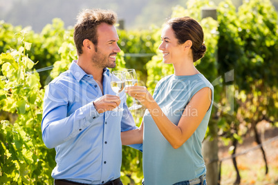 Smiling couple toasting wineglasses at vineyard