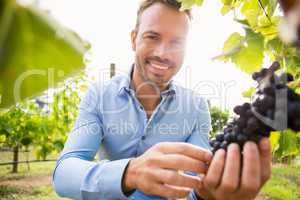 Portrait of smiling young man touching grapes