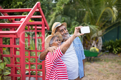 Couple taking selfie while standing in yard