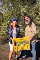 Portrait of happy couple holding harvested olives in crate