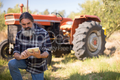 Man using digital tablet in olive farm