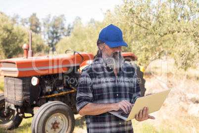 Man using laptop in olive farm