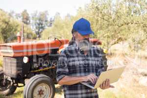 Man using laptop in olive farm