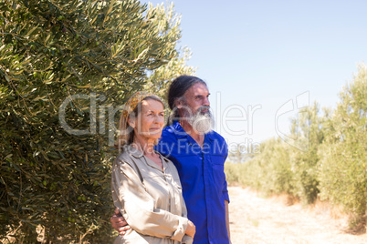 Thoughtful couple standing in olive farm