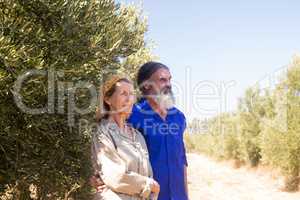 Thoughtful couple standing in olive farm