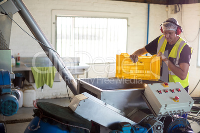 Worker processing olives in machine