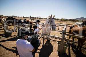 Girls grooming the horse in the ranch