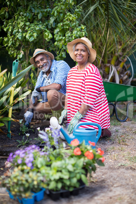 Portrait of smiling couple planting in yard