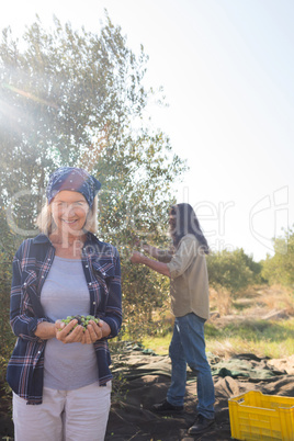 Woman holding harvested olives while man working in background