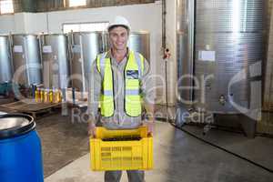 Portrait of happy worker holding harvested olives in crate
