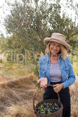 Portrait of happy of woman holding harvested olives in basket