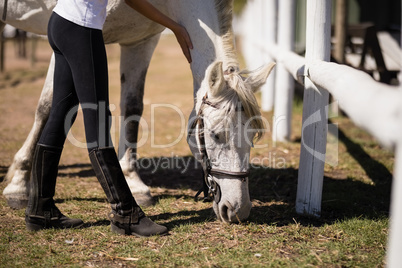 Girl caressing a white horse in the ranch