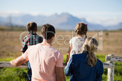 Rear view of family looking at nature in the park