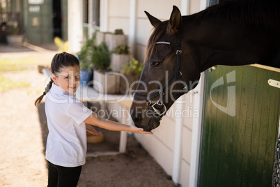 Girl feeding a horse in the stable