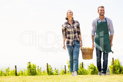Full length of couple holding basket at vineyard