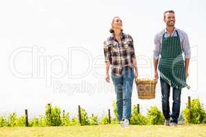 Full length of couple holding basket at vineyard