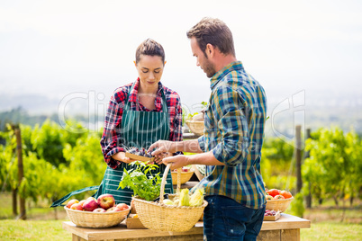 Man buying organic vegetables from woman at farm