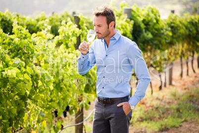 Handsome man drinking wine