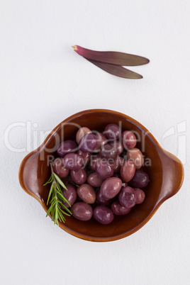 Olives and rosemary in wooden container